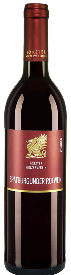 Forster Winzer Spätburgunder – Pinot Noir 2020